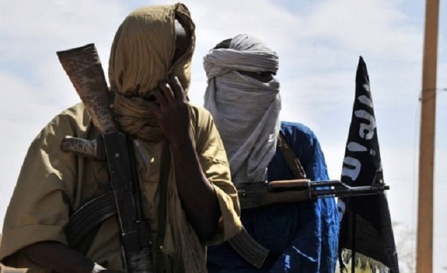 mali rebels